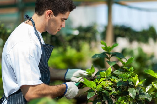 Workers loading separated green waste into recycling containers at a garden clearance