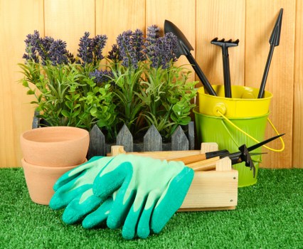 Expert gardener pruning shrubs in Gunnersbury